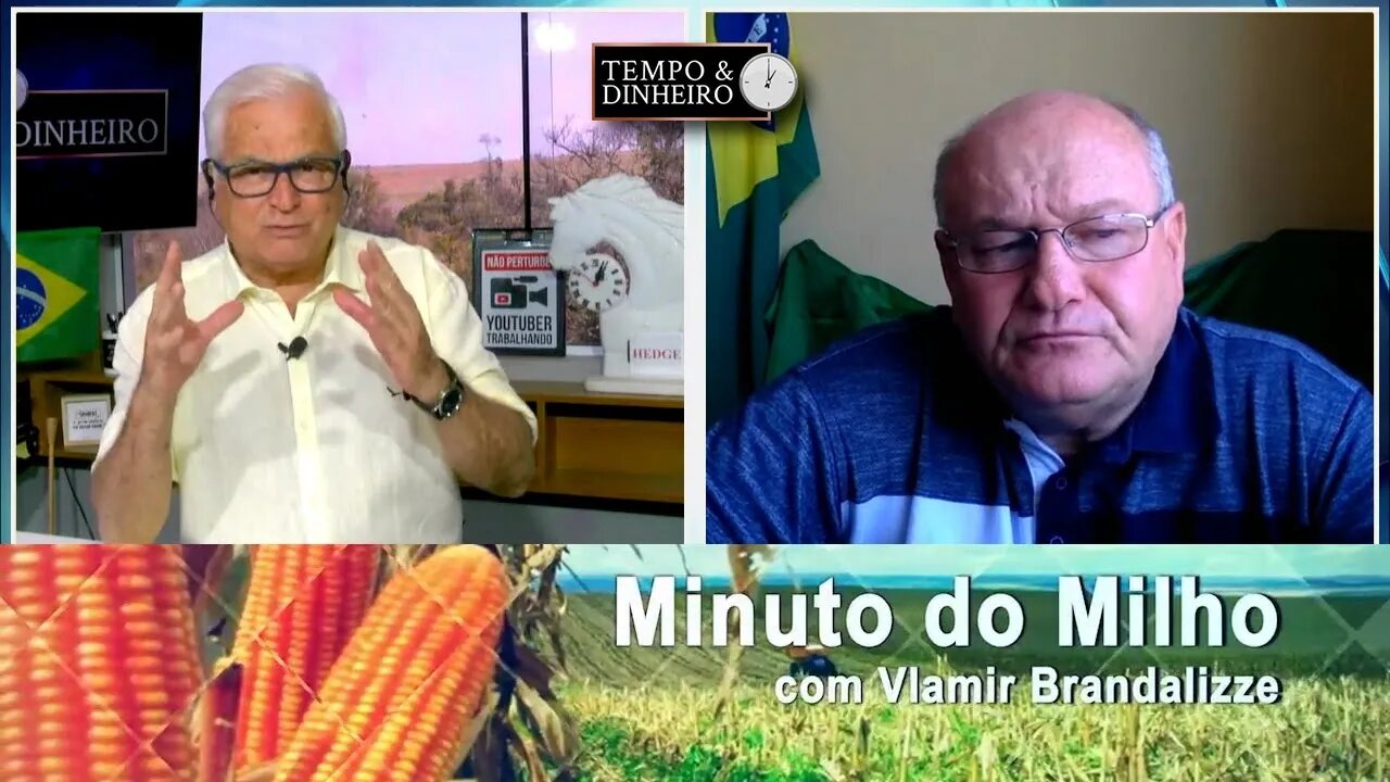 Milho mantendo bom ritmo de exportações