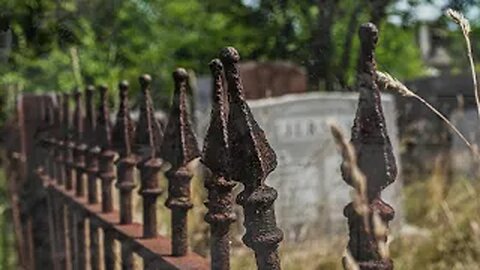 Forgotten Memories in over-grown, over-populated Cemetery