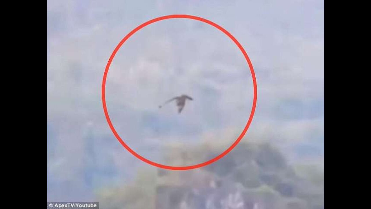 YES, IT IS A DRAGON... HERE'S THE REAL STORY