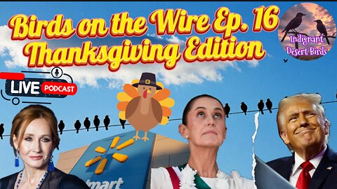 J.K. Rowling Rips BBC, Walmart drops DEI, Trump on Mexico and more! Birds on a wire Ep. 16