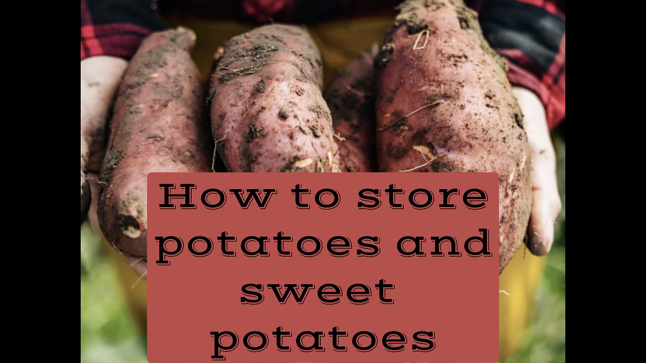 How to store potatoes and sweet potatoes?.