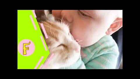 Baby and Cat Fun and Cute - Funny Baby Video