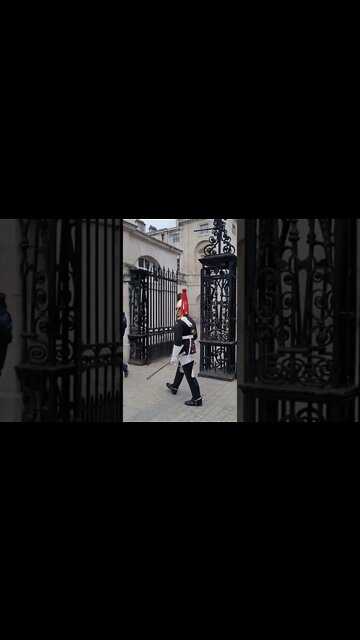 inspection of the horse #horseguardsparade