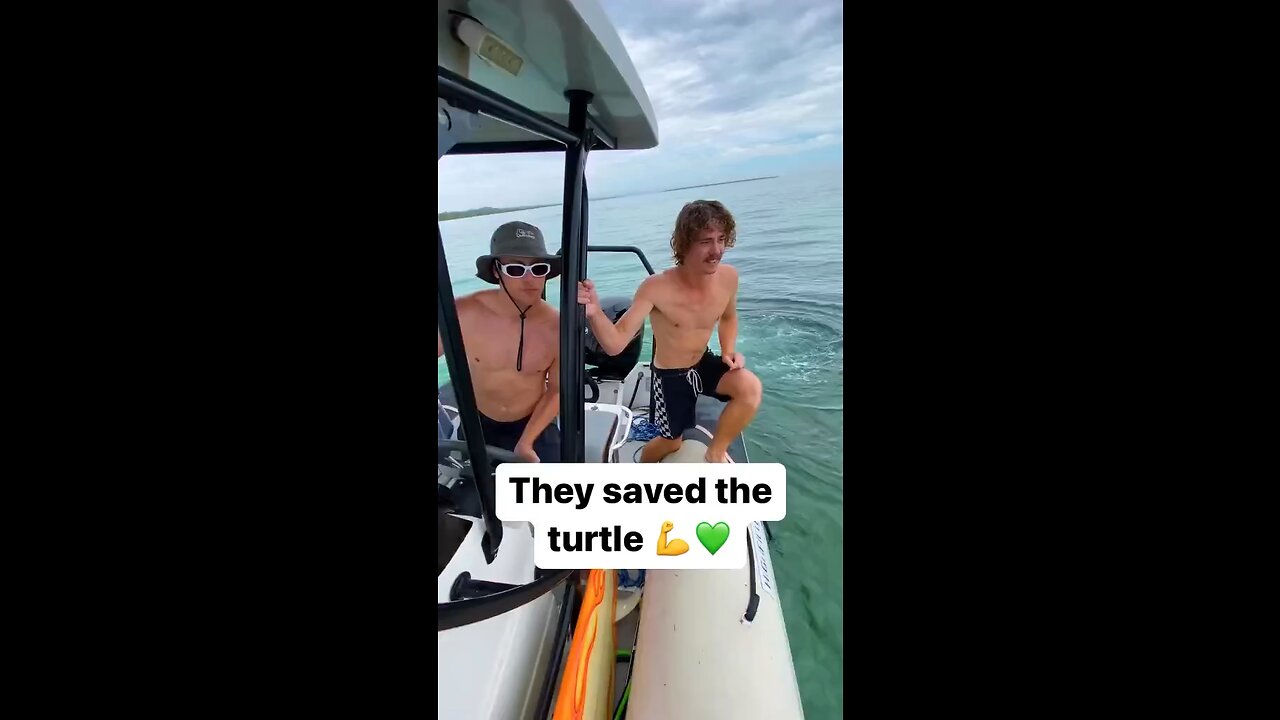 They Saved the Turtle ! BLESS THEM 💜