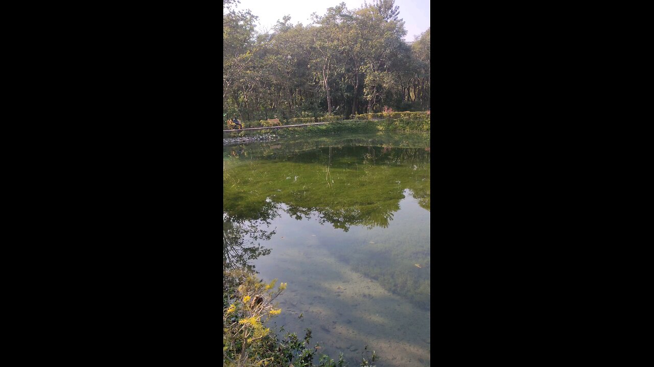 Lacchiwala nature park