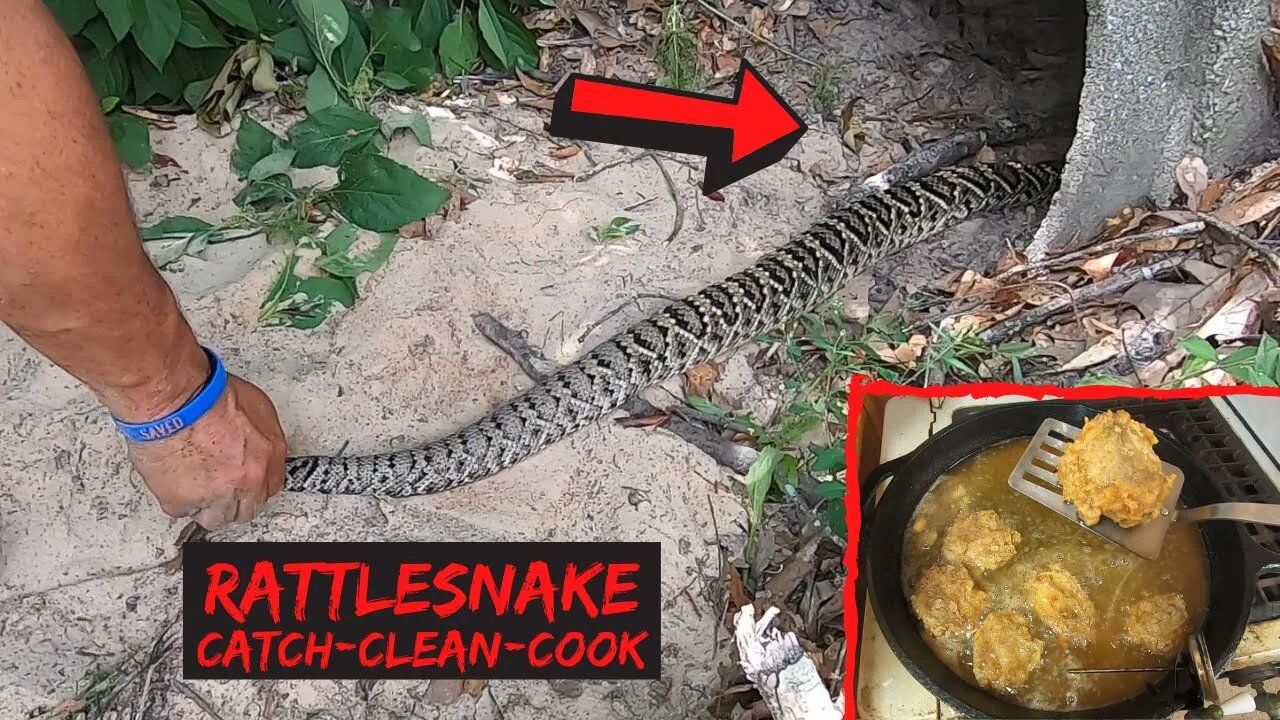 Huge Rattlesnake Catch-Clean-Cook (very graphic*)