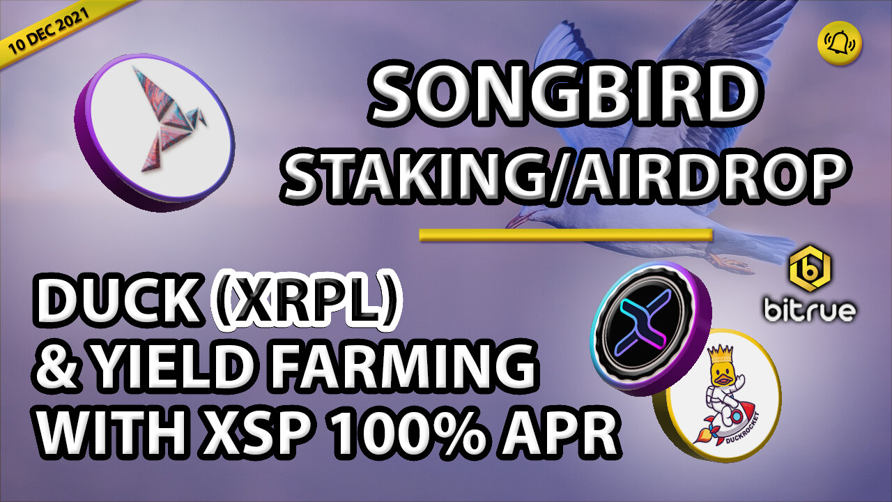 SONGBIRD STAKING/AIRDROP DUCK (XRPL) & YIELD FARMING WITH XSP 100% APR