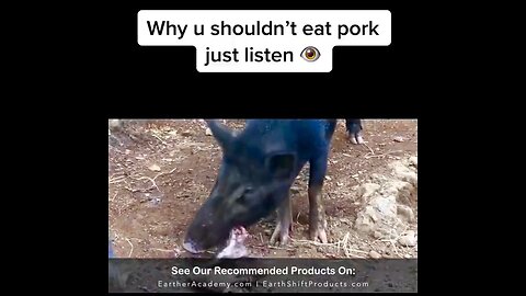 PARASITES: Why u shouldn't eat pork