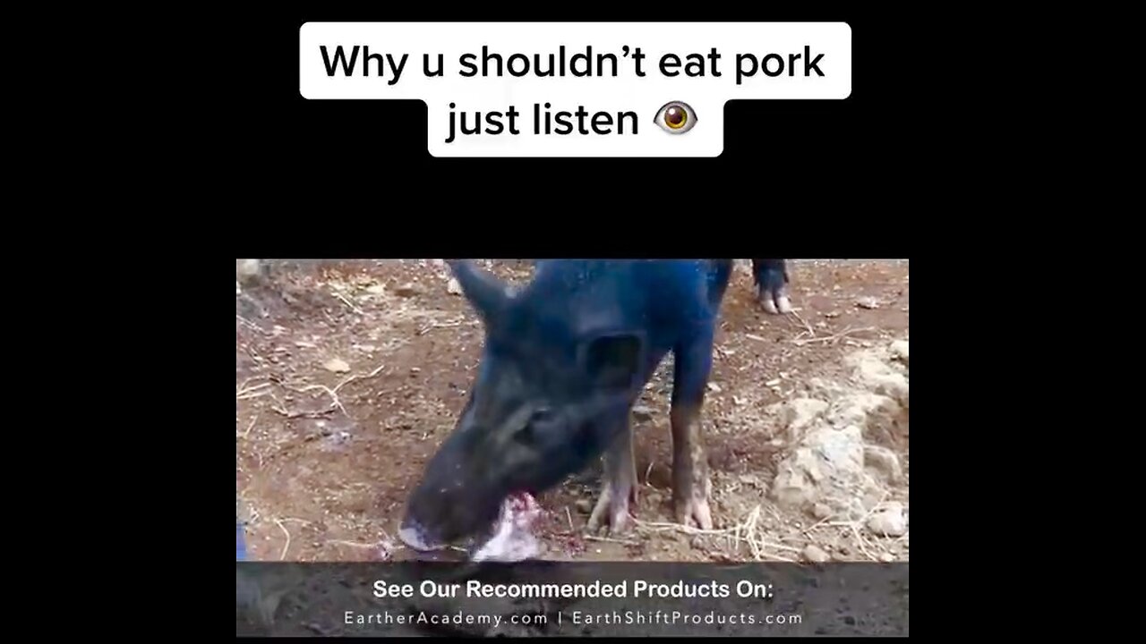 PARASITES: Why u shouldn't eat pork