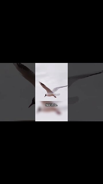 Adevărul despre lumea animală și lumea oamenilor #shorts