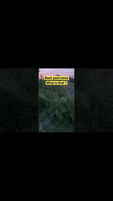 Back Yard Noise #naturelovers #wetlands