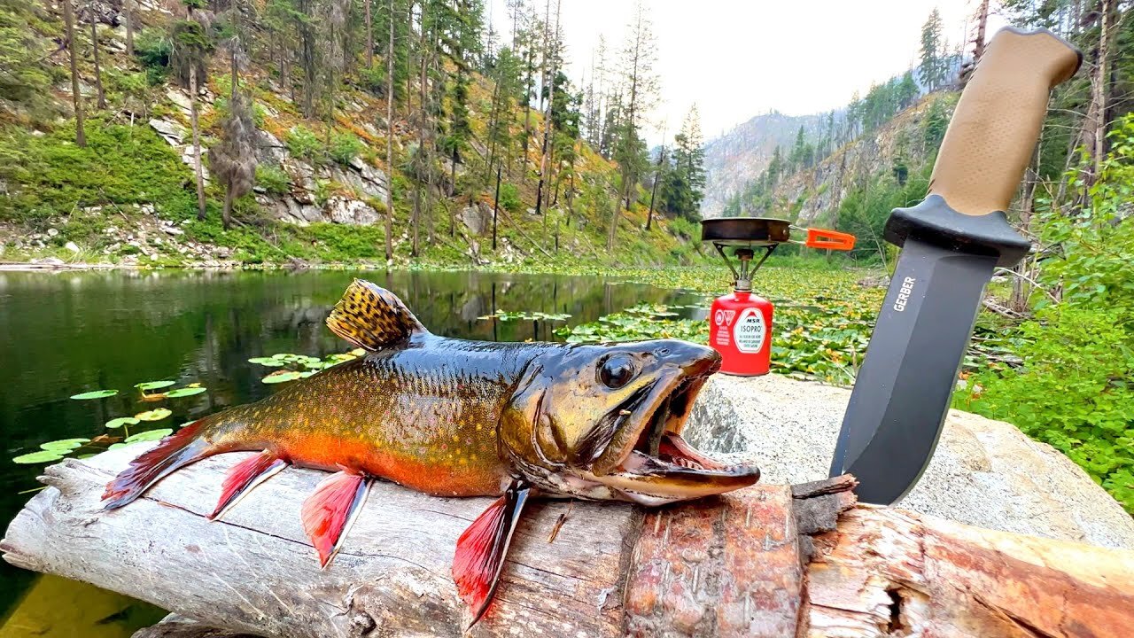 Fishing a Mountain Lake FILLED with HUNGRY TROUT!!! (Catch & Cook)