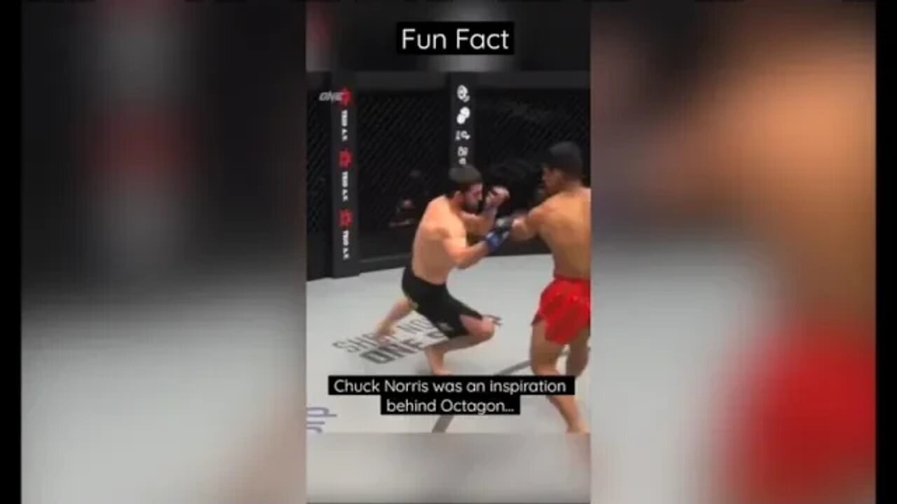 Fun Fact About Chuck Norris