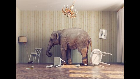 Elephant in the room