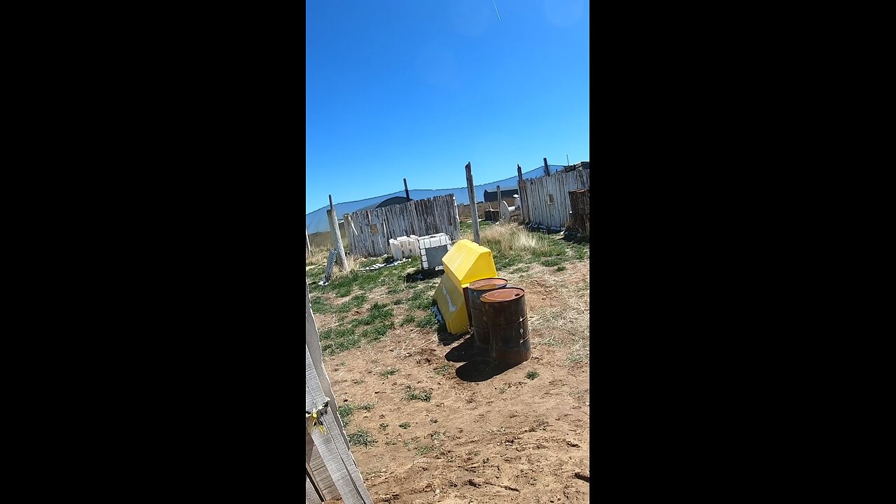 Paintball sneak attack! They had no idea where I was