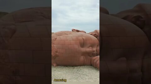 Amezing video