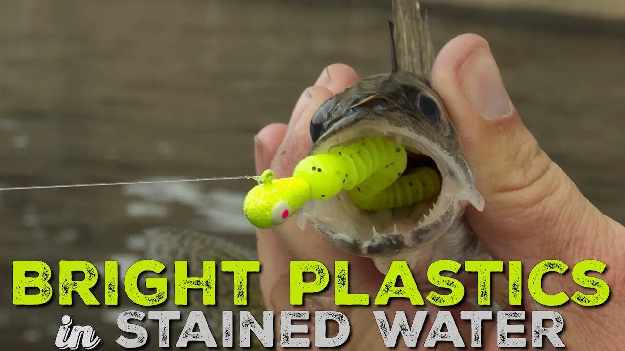 Using bright colored plastics to catch walleyes in stained water