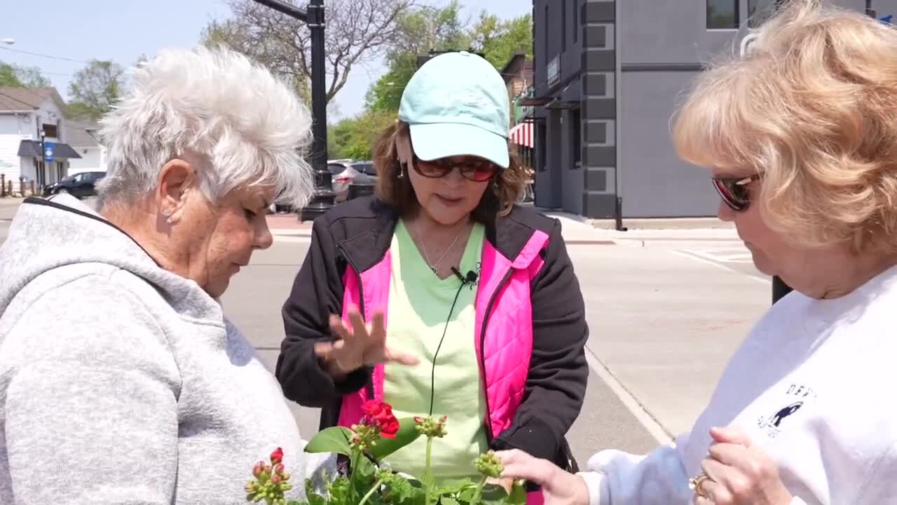 DeWitt Garden Club brings life to DeWitt through flowers they plant