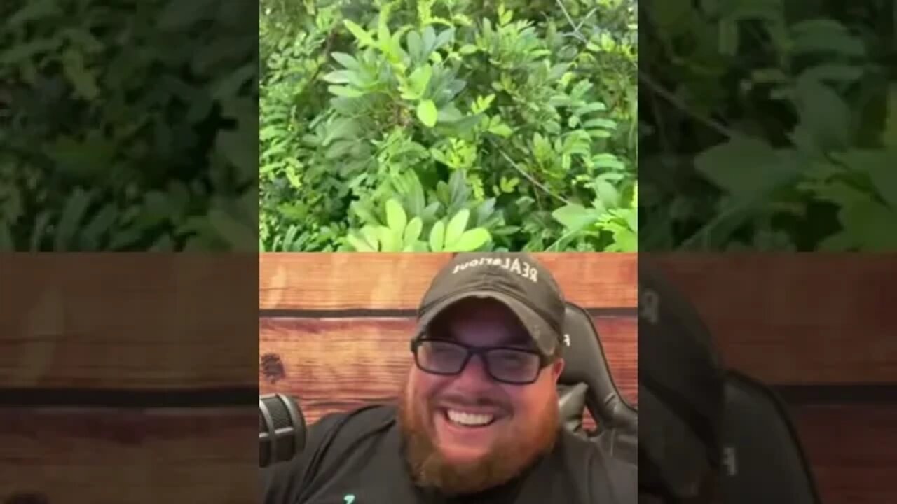 Here’s Your Dose Of REALarious…🤣🤣🤣 with @omgitswicks