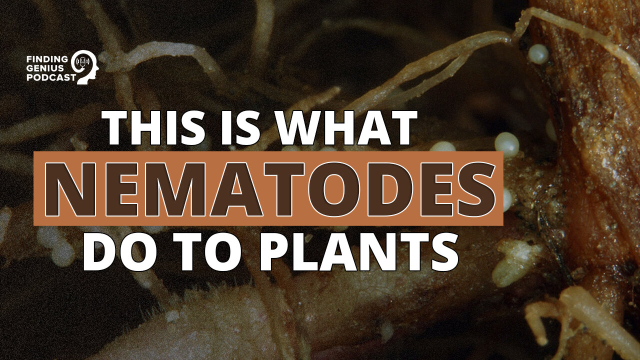 This Is What Nematodes Do to Plants