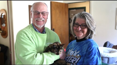 Glendale couple has fostered 306 cats in 12 years