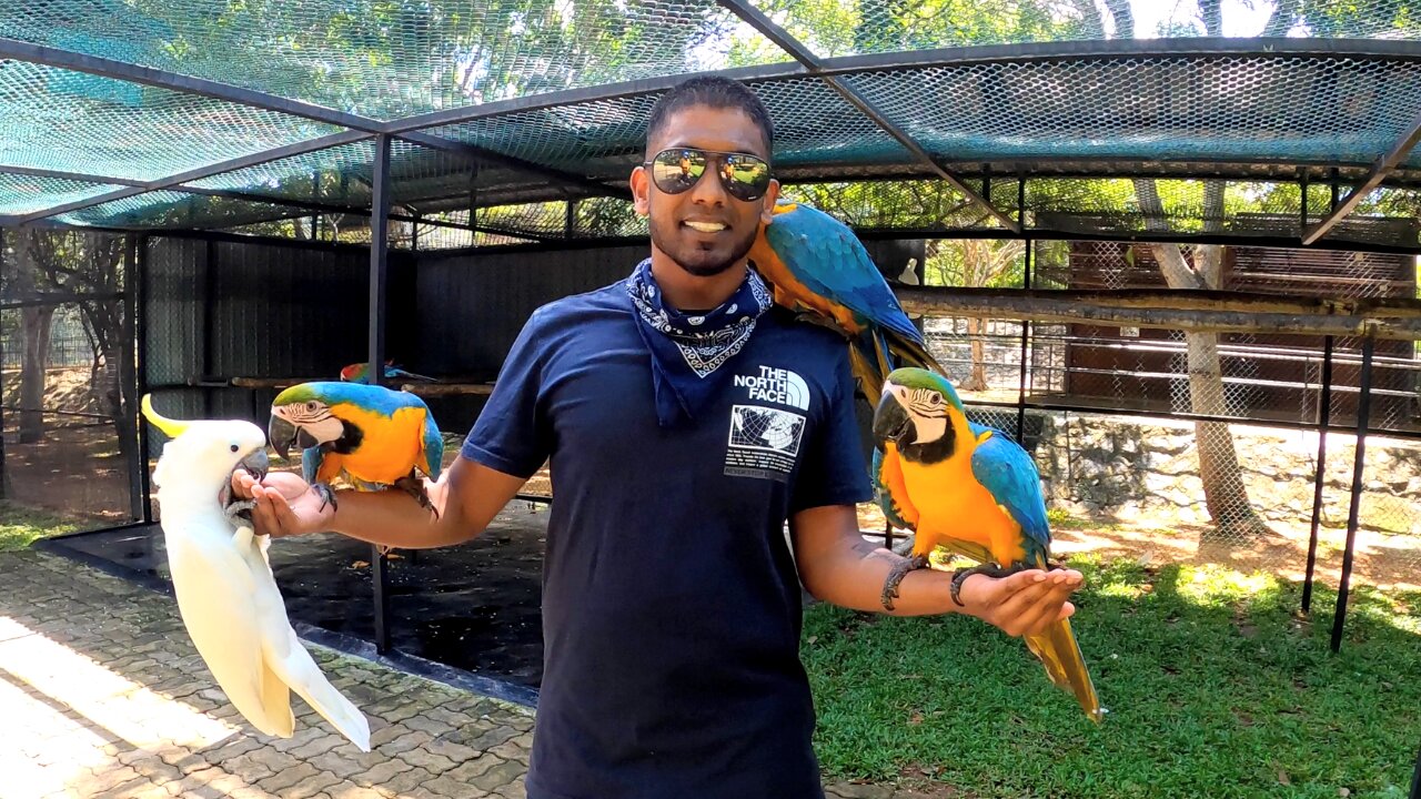 Animal Parks in Sri Lanka