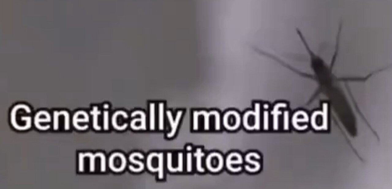 Vaccinating People Against Their Will Using Genetically Modified Mosquitos