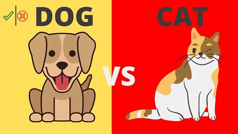 Funny dog and cat videos | #3-Minutes Fun