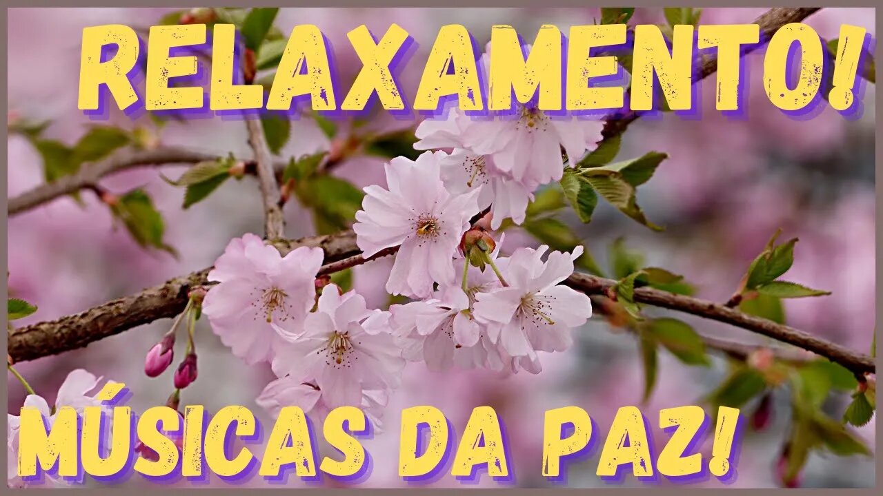 Músicas para paz e relaxamento. Descanse imediatamente! Durma, medite, estude e ore!