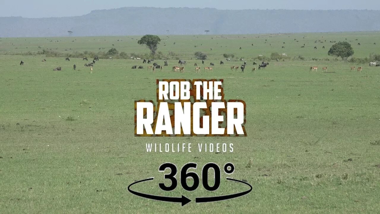 Driving Through The Maasai Mara Plains (In 360°)