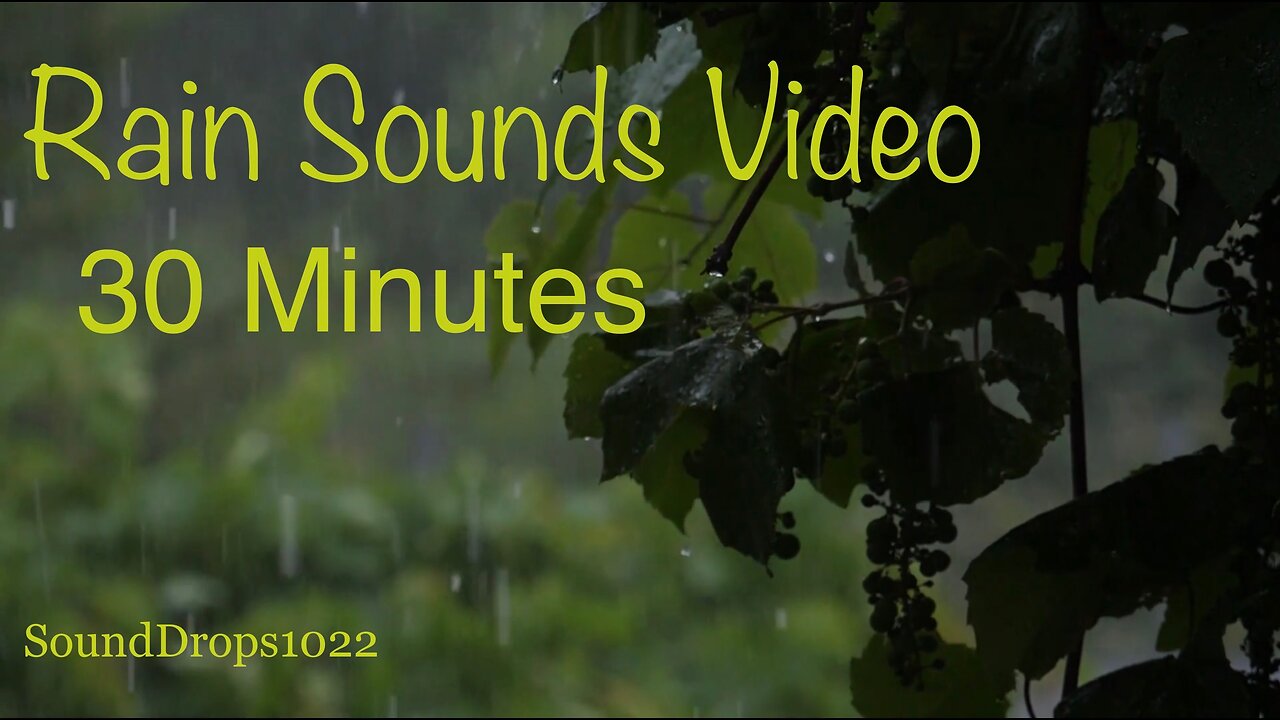 Take A Break And Refuel With 30 Minutes Of Rain Sounds Video