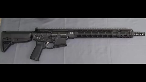 Primary Weapons Systems MK116 Rifle- Unboxing and Tabletop Review