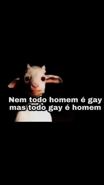 Memes em imagens #19 - Nem todo homem é gay