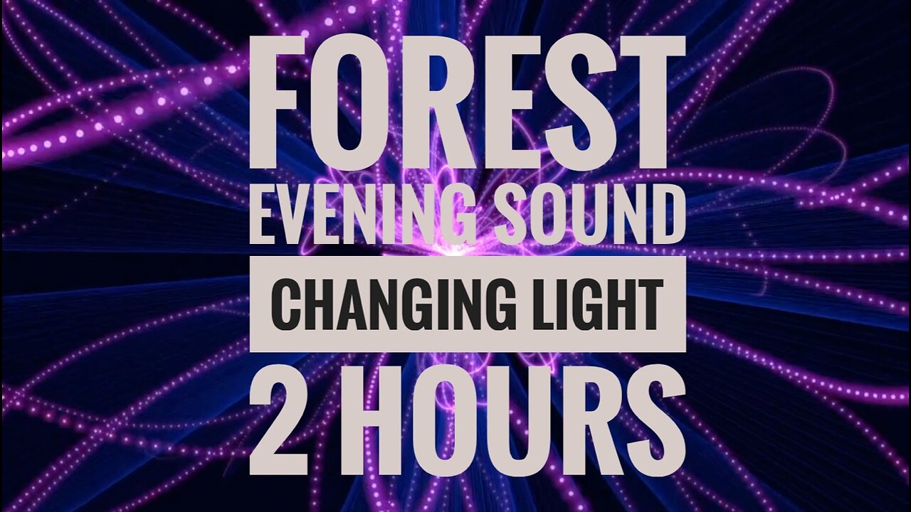 2 Hours of Forest Evening Sounds and Changing Lights for a Serene and Mesmerizing Experience