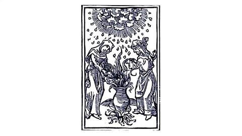 Climate News November 15, 2019