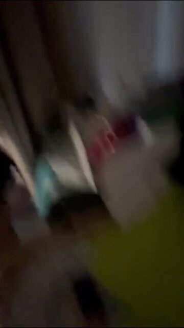 Tree falling inside a home in Tampa, FL | Video Credit: Robert Pekar