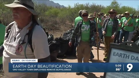 Oro Valley comes together to remove invasive buffelgrass