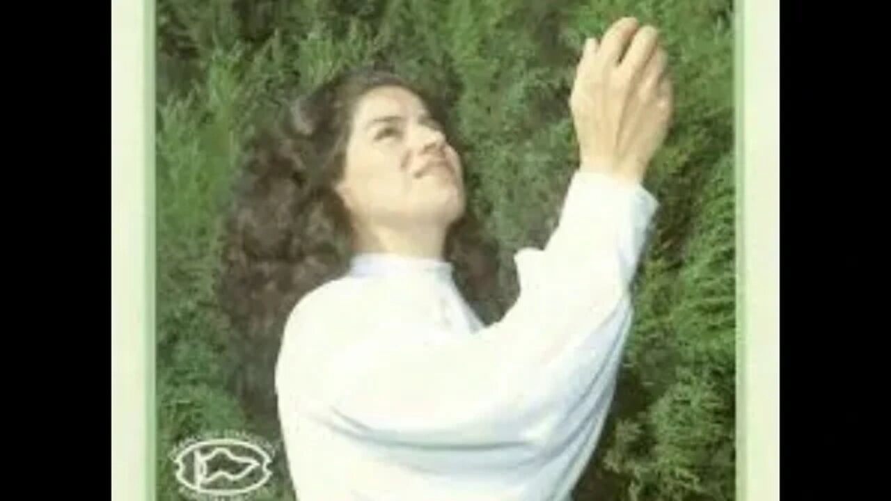 Sara Araujo gratidão play back