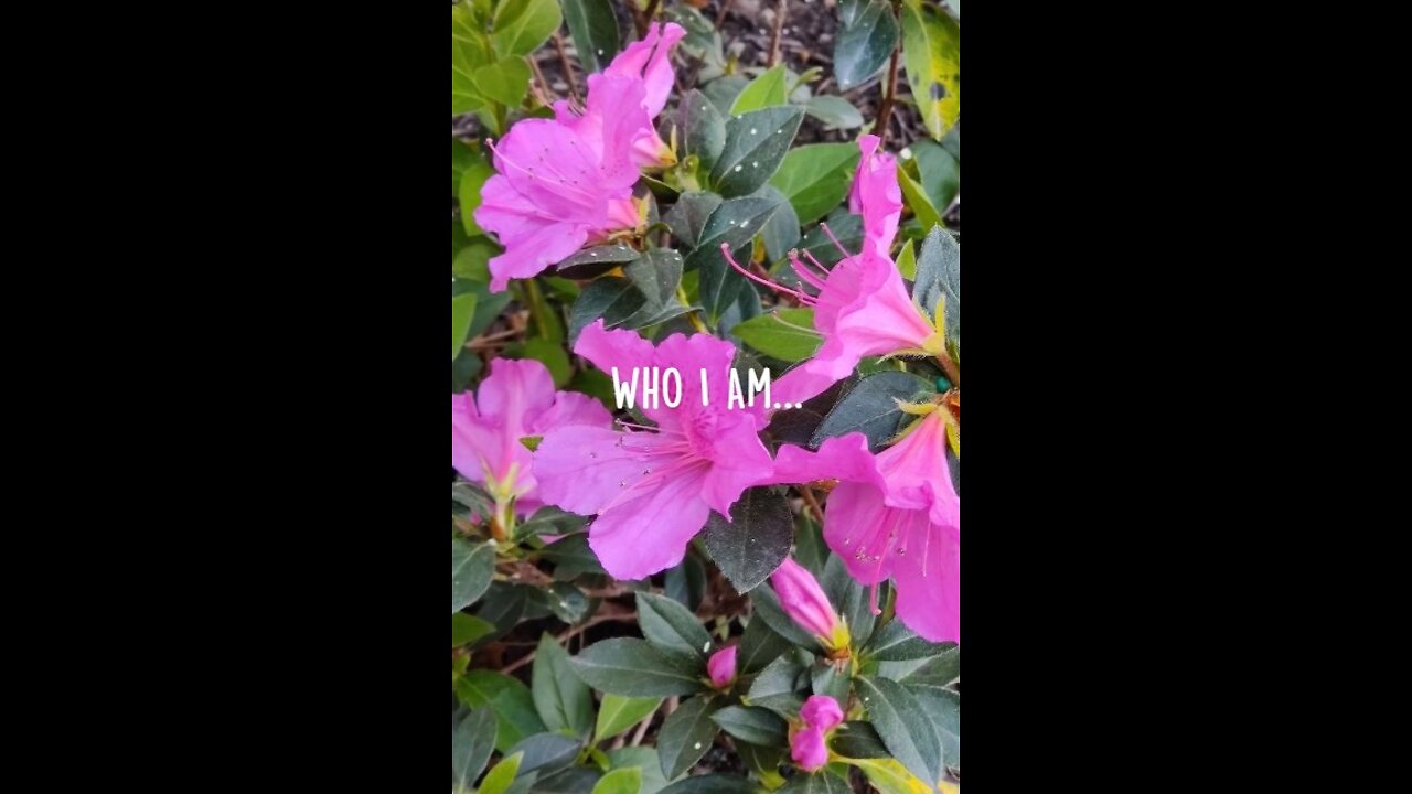 Who I Am