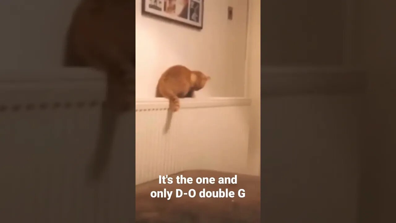 MEME is the one and only D-O double G #shorts