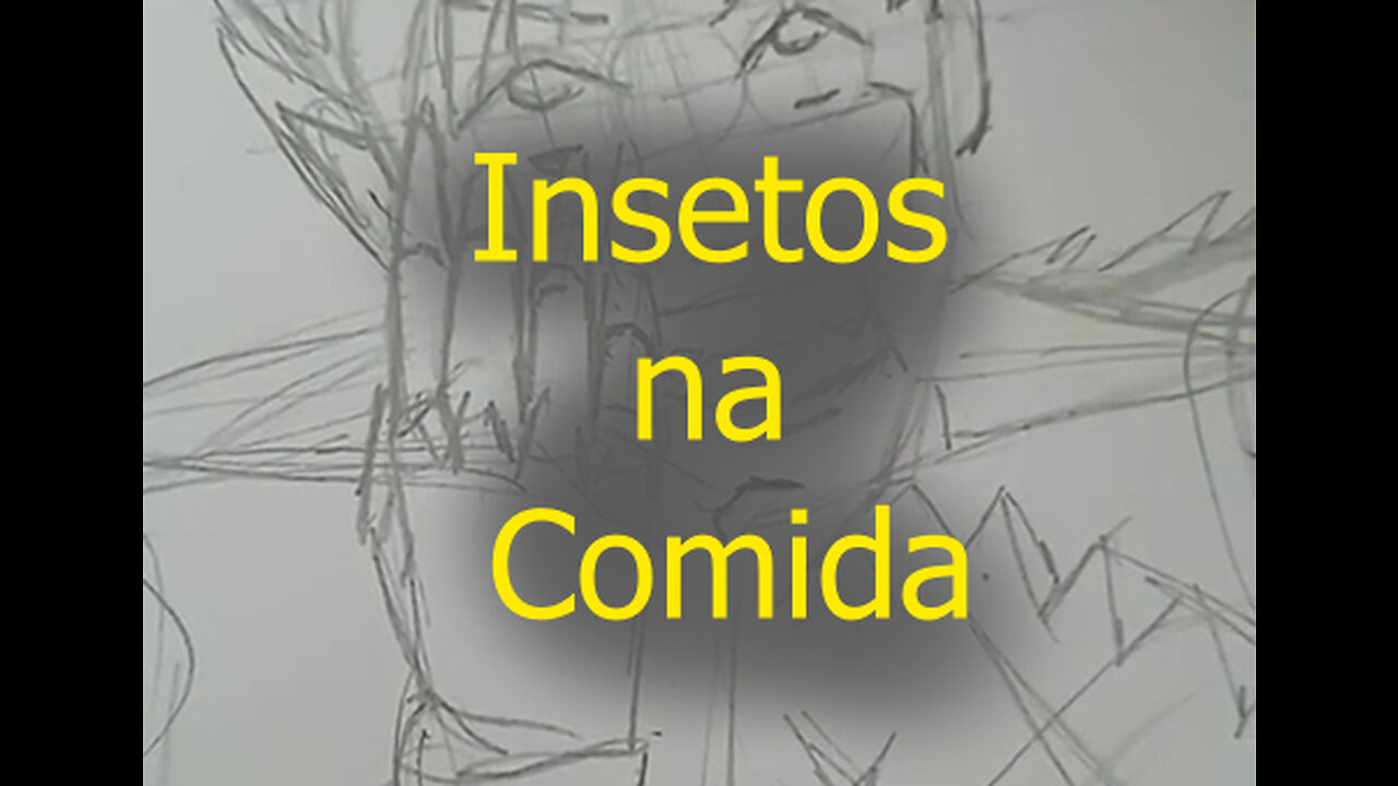 Insetos Na Comida