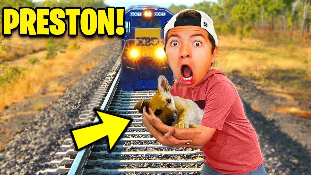 6 YouTubers Who SAVED ANIMALS LIVES! [ItsFunneh, MrBeast, DanTDM]