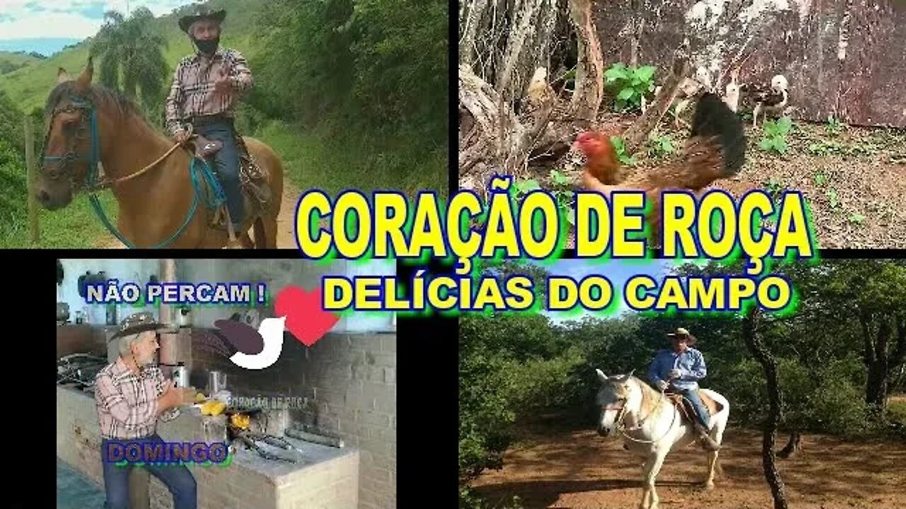 CORAÇÃO DE ROÇA DELÍCIAS DO CAMPO