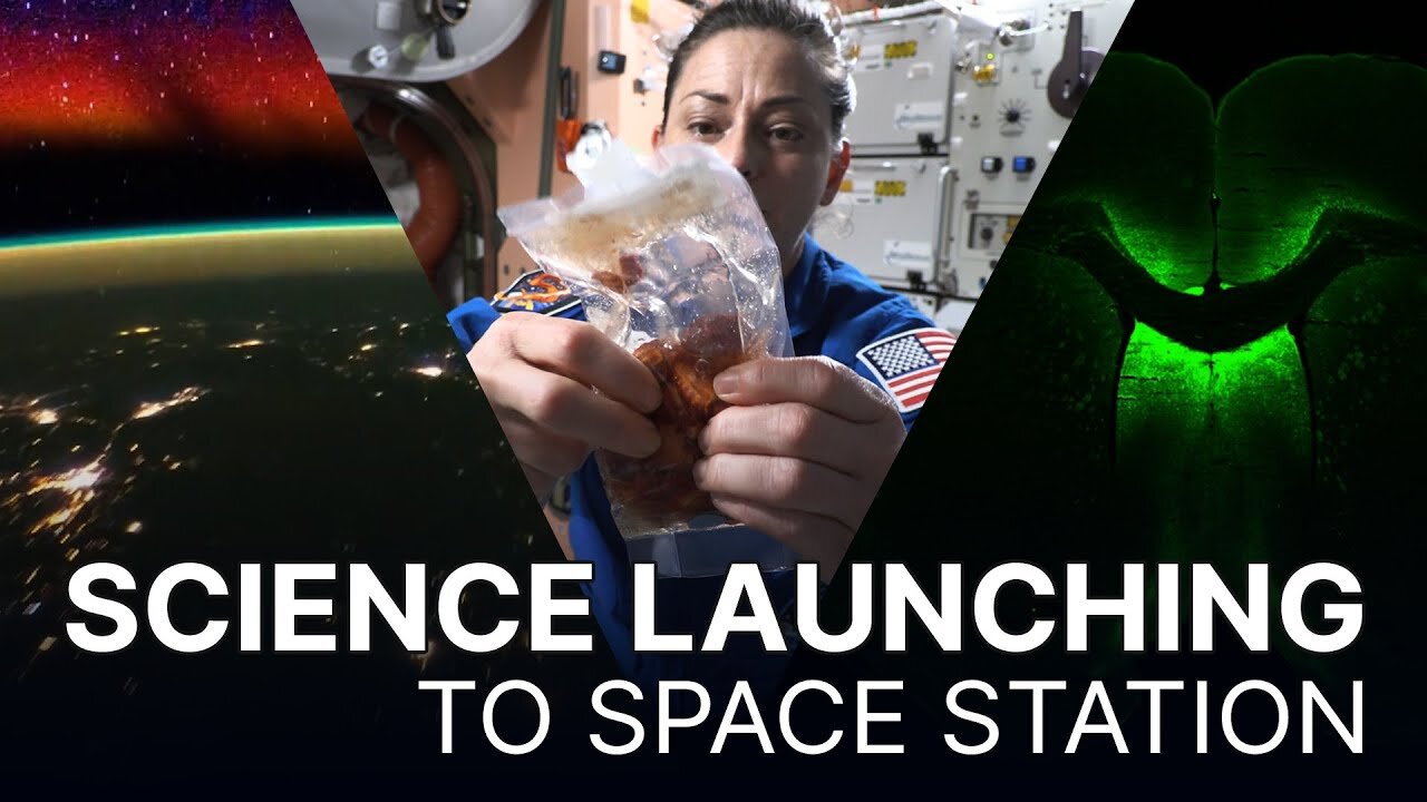 NASA Is Launching Science in space| First Time Growing Plants In Space