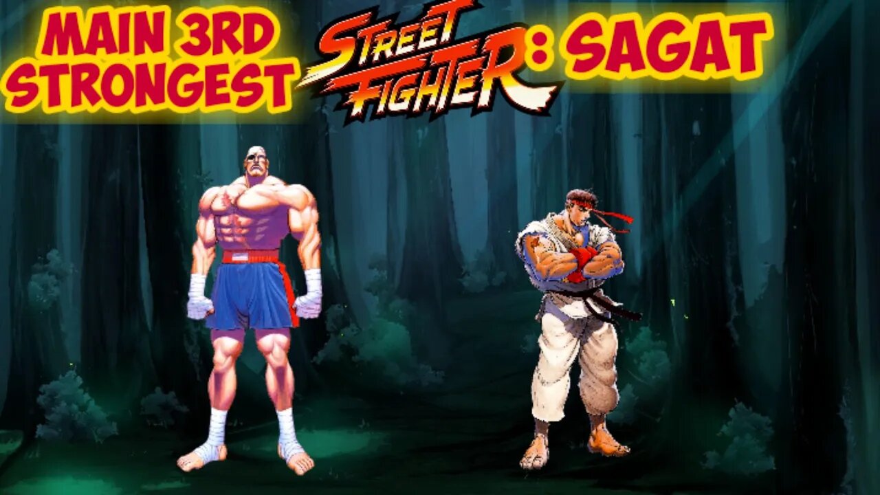 Main 3rd Strongest Street Fighter: Sagat (Tribute)