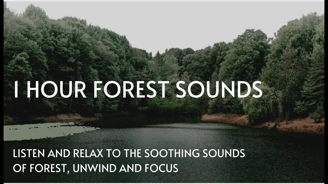 Best Nature Sounds + Forest and Insects Sounds to Sleep Easily, Relax, Sleep Music