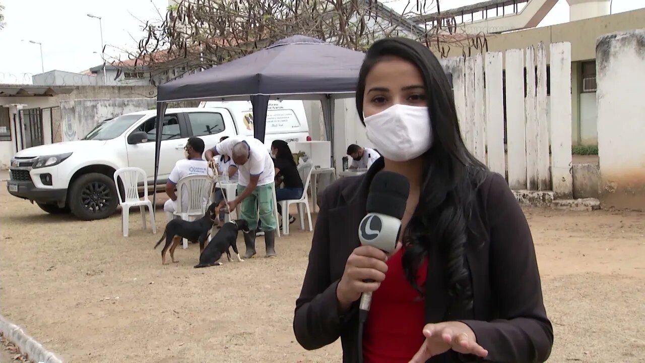 Projeto vacinação canina é realizado hoje e amanhã em Gov. Valadares