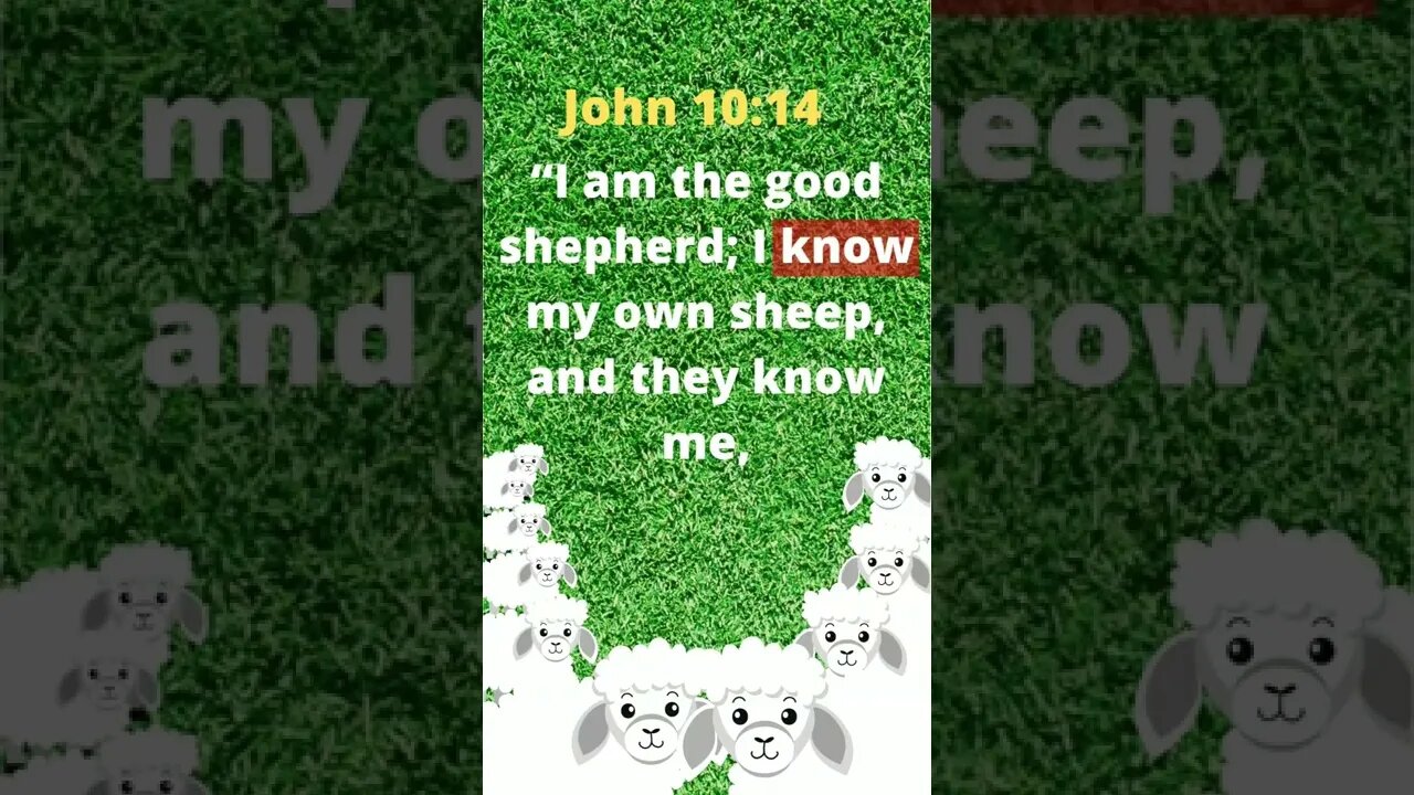 Sheep or False Prophets -- Jesus Knows #shorts