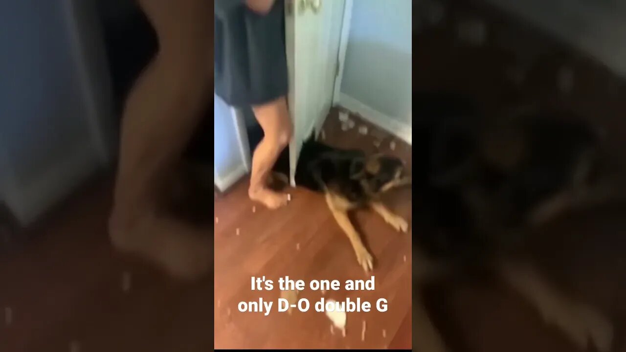 It's the one and only D-O double G #shorts