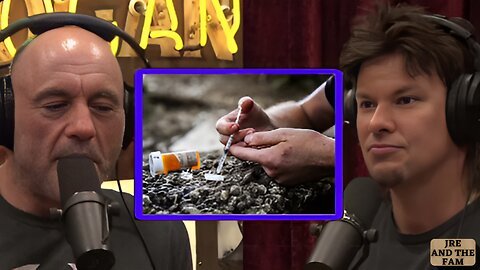 Big Pharma's Immunity in Opioid Crisis from a Multi-Billion Deal Joe Rogan Experience